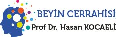 Prof. Dr. Hasan Kocaeli